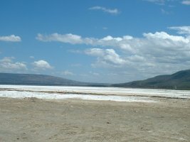 gal/Honeymoon/Lake Nakuru/_thb_DSCF0030.JPG